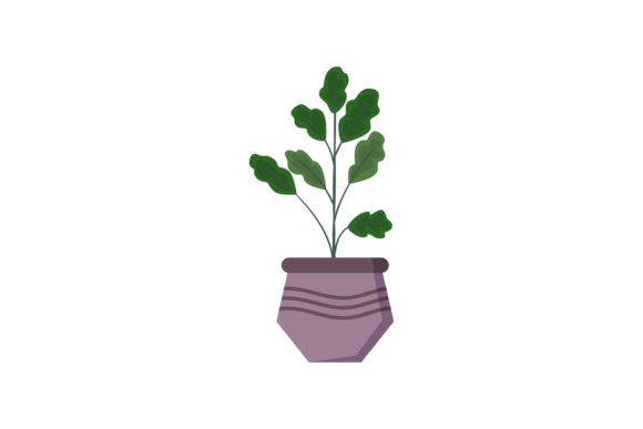 Download Floral Pot Beauty Tropical Illustrations - Tropical illustrations Collection