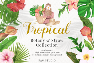 Download Tropical Illustrations of Flowers, Leave - Tropical illustrations Collection