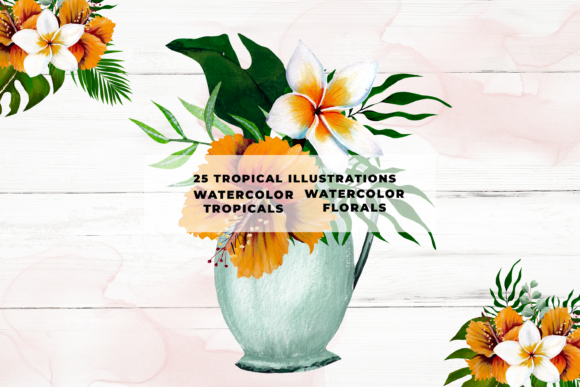 Download Watercolor Tropical Illustrations - Tropical illustrations Collection
